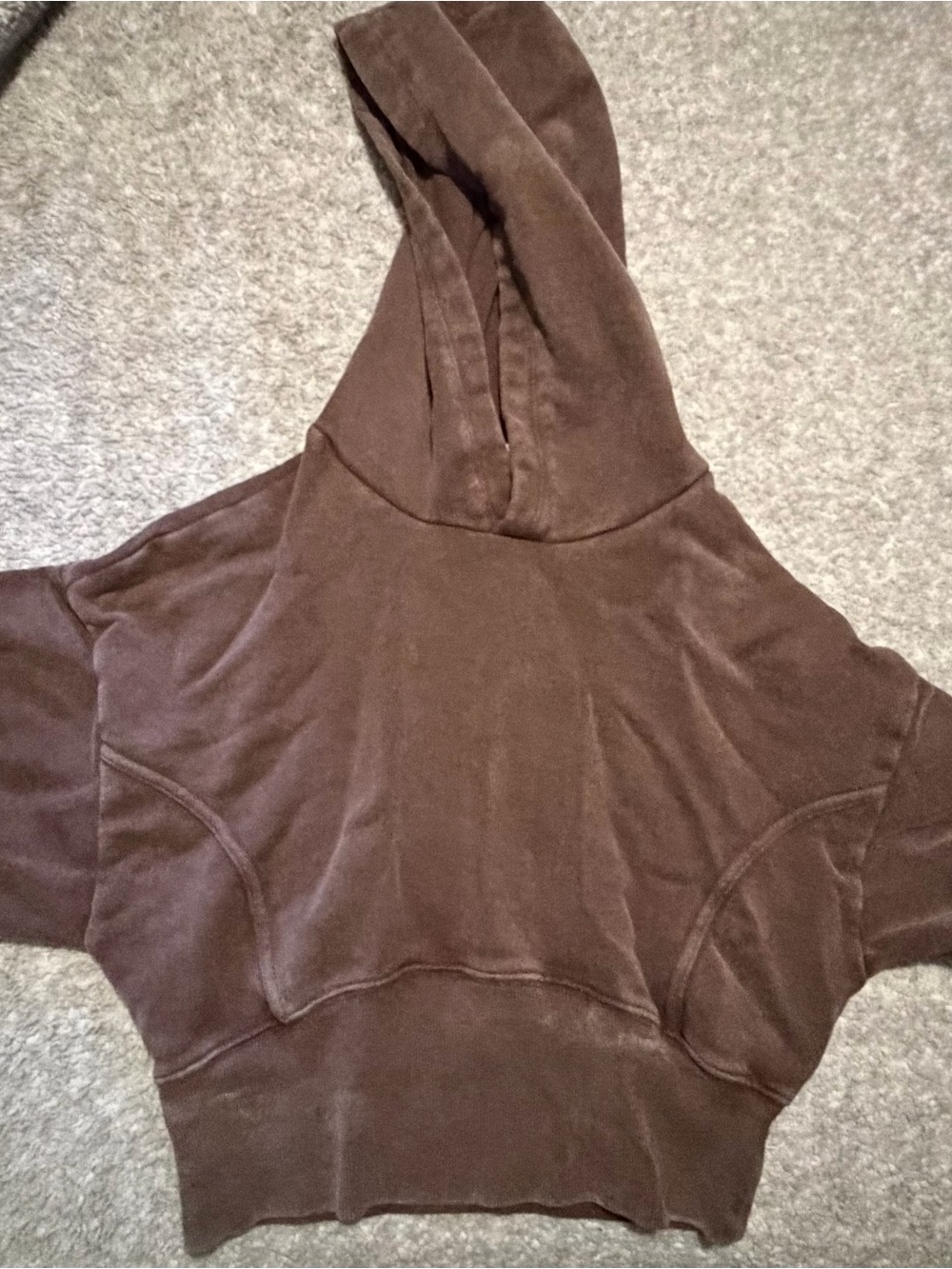 aerie Chocolate Brown Hooded Sweatshirt